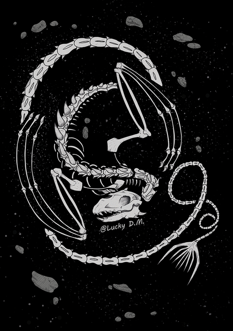 Dragon Skeleton